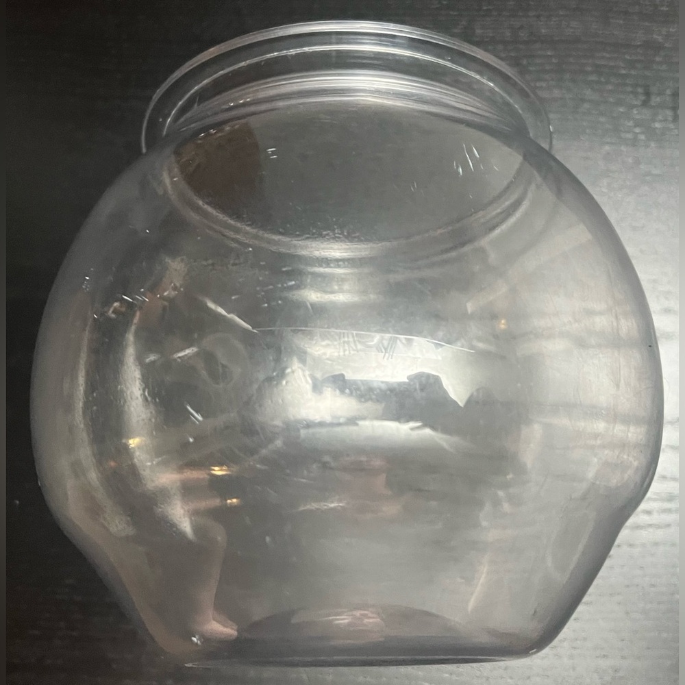 Fish Bowl - Picture 2 of 2